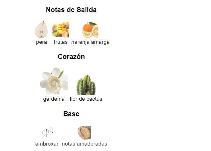 Decant Coach Dreams - Coach