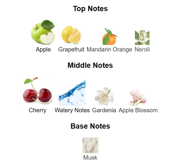 Decant Nina L'eau Nina Ricci