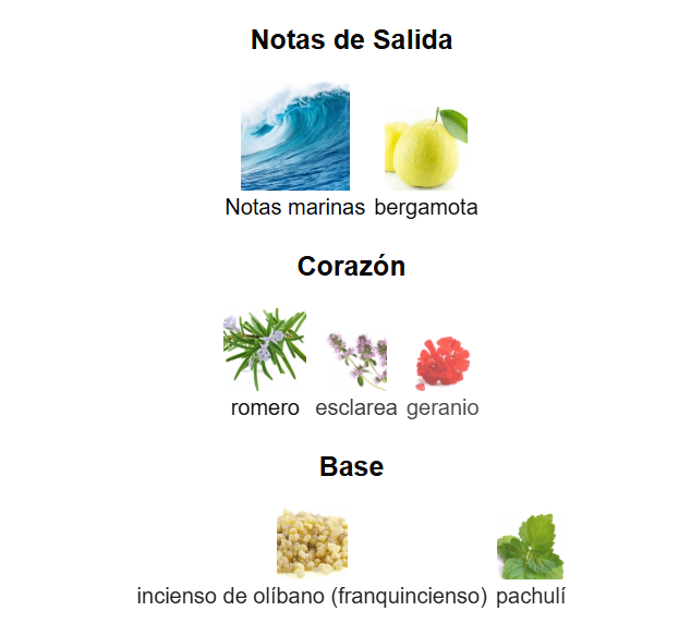 Decant Acqua di Gio Parfum - Armani