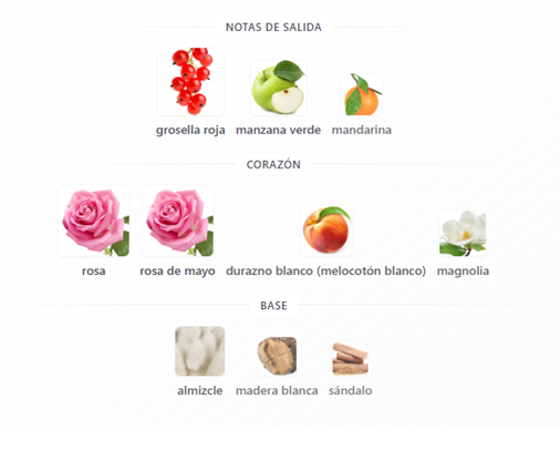 Decant Dolce Rose - Dolce & Gabbana