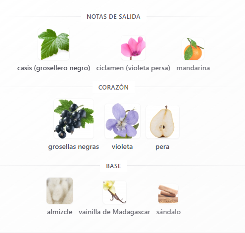Decant Dolce Violet - Dolce & Gabbana