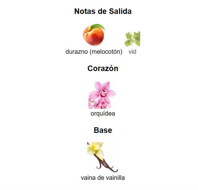 Decant Flowerbomb Ruby Orchid Viktor&Rolf