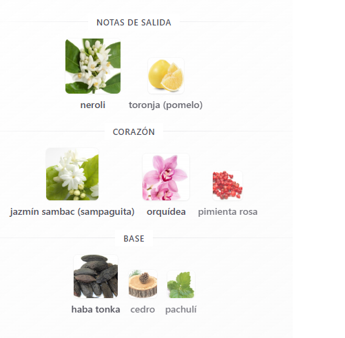 Decant Fleur d' Orchidee - Karl Lagerfeld