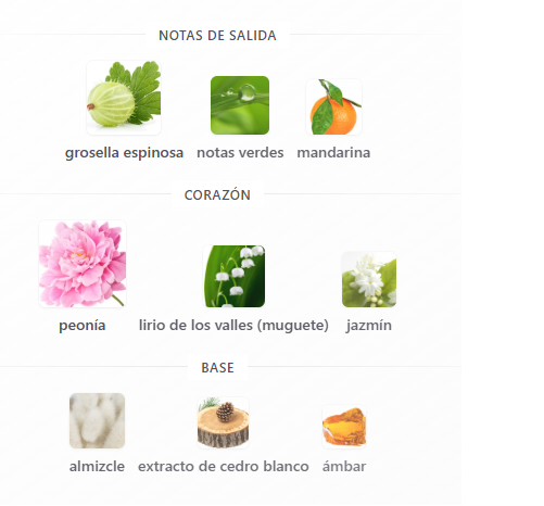 Decant Fleur de Pivoine - Karl Lagerfeld