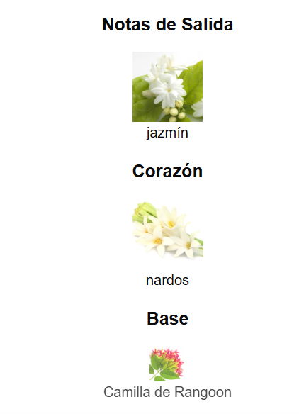 Decant Gucci Bloom - Gucci