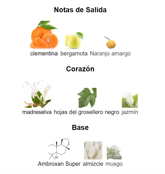 Decant Mediterranean Honeysuckle Clementina - Aerin