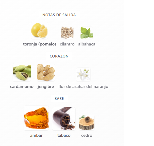 Decant The One Eau de Parfum - Dolce & Gabbana