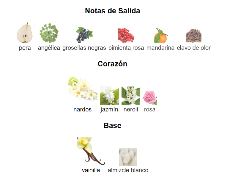 Decant Velvet Vanilla Mancera